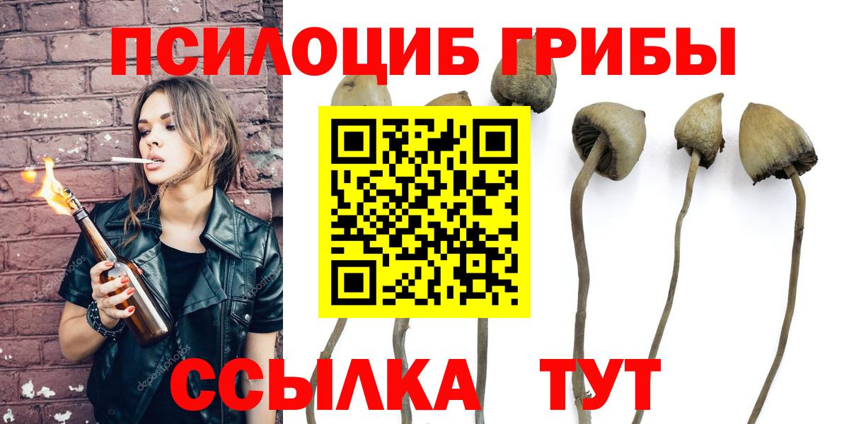 Галлюциногенные грибы мицелий  Вход с VPN  Черногорск 